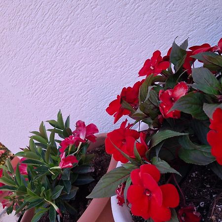 Apartamento Amar Seaside Ksamil Exterior foto